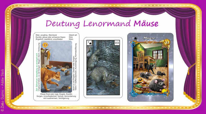 Lenormand Maeuse